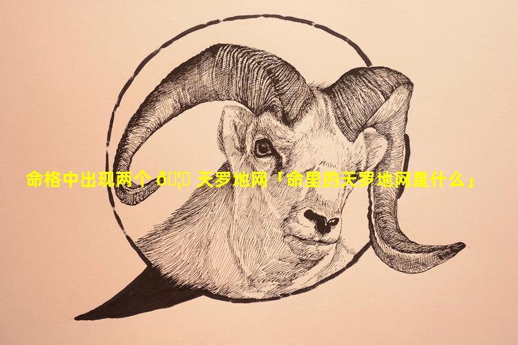 命格中出现两个 🦟 天罗地网「命里的天罗地网是什么」